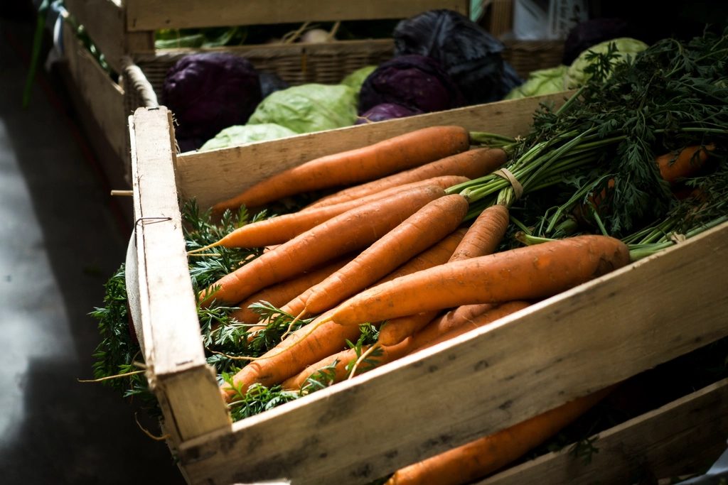 Freshly harvested orange carrots with green tops piled in a wooden crate
